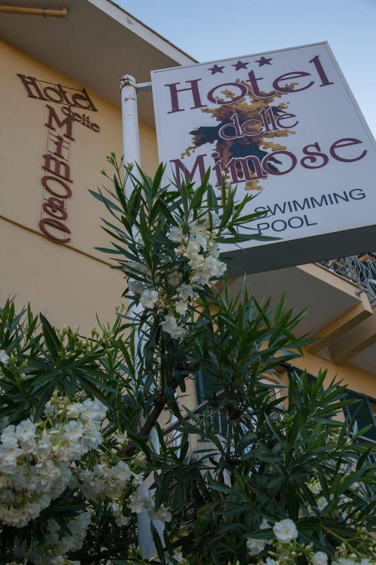 Hotel Delle Mimose Diano Marina Zewnętrze zdjęcie